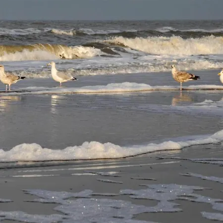 Prázdninový dům Welcoming Egmond aan Zee