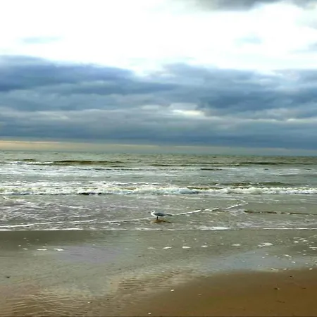 Welcoming Semesterbostad Egmond aan Zee